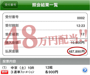 競馬予想サイト「競馬ナンバー１」3連単フォーメーション的中実績