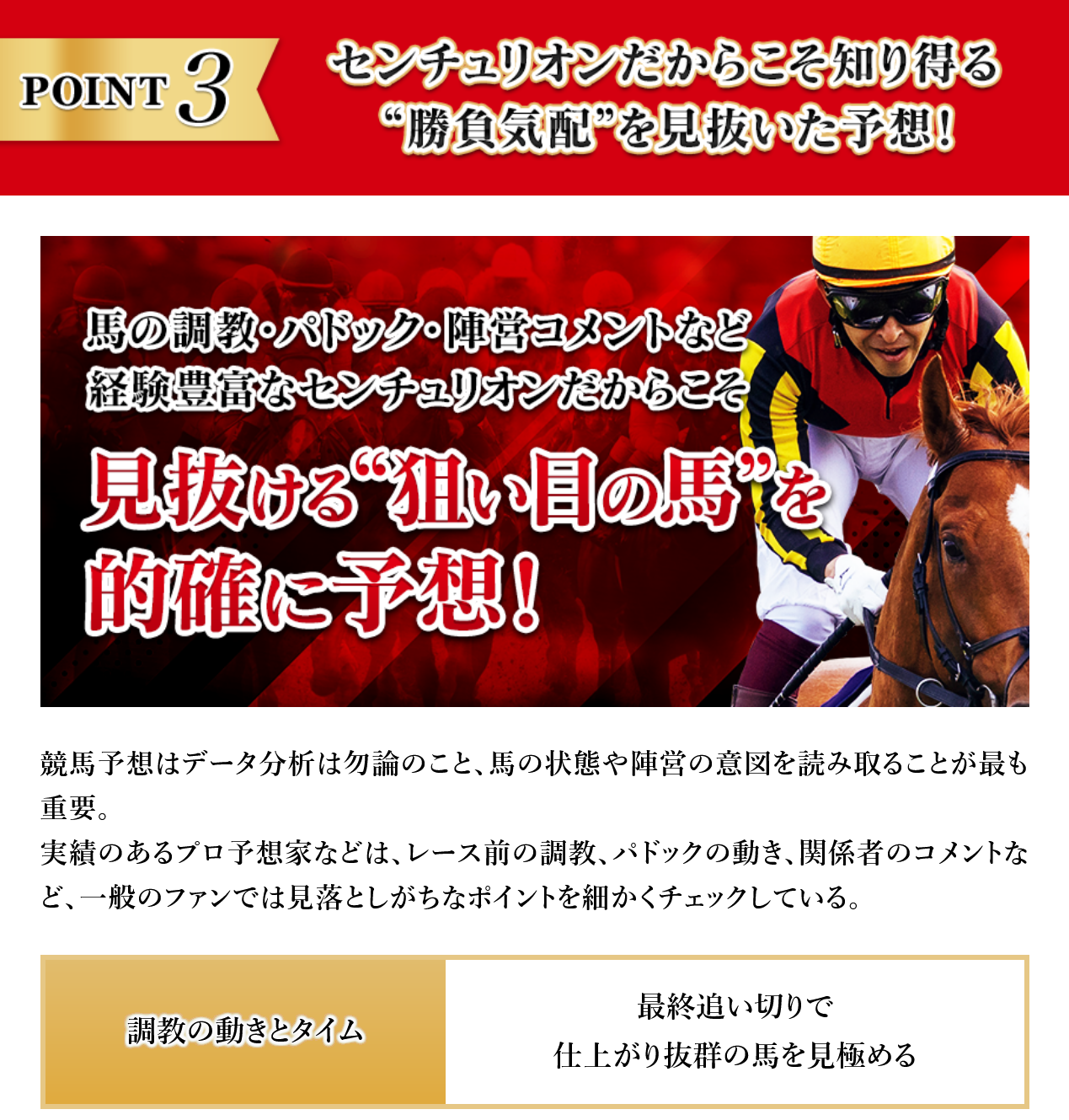 競馬予想サイト「H.R.I CENTURION(センチュリオン)」の注目ポイント③