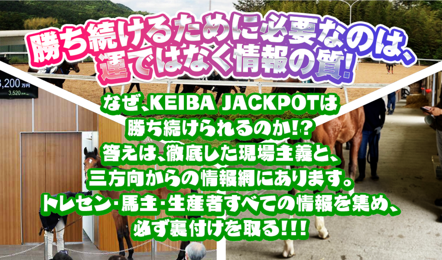 競馬予想サイト「ジャックポット」の注目ポイント②