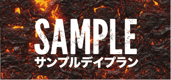 競艇予想サイト「バーニング」サンプルプラン