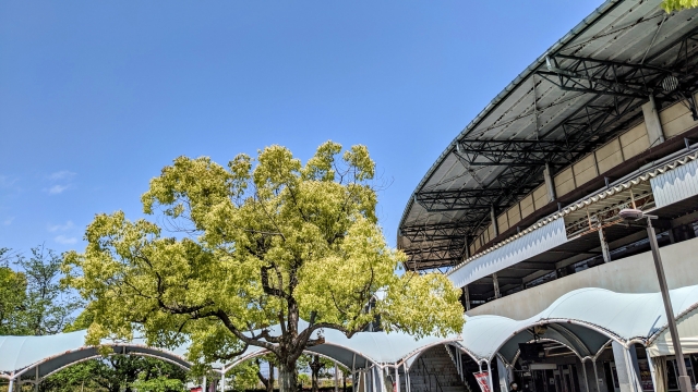 競輪の公式サイト「KEIRIN.JP」