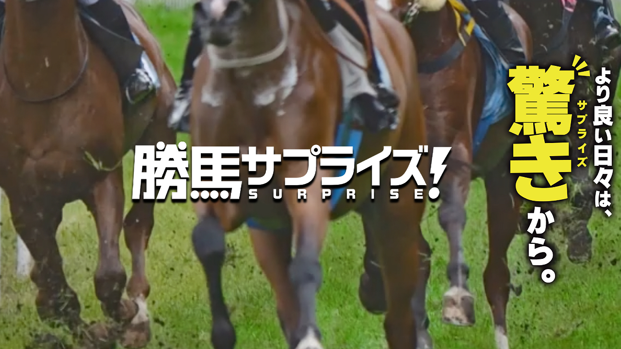 競馬予想サイト「勝馬サプライズ」